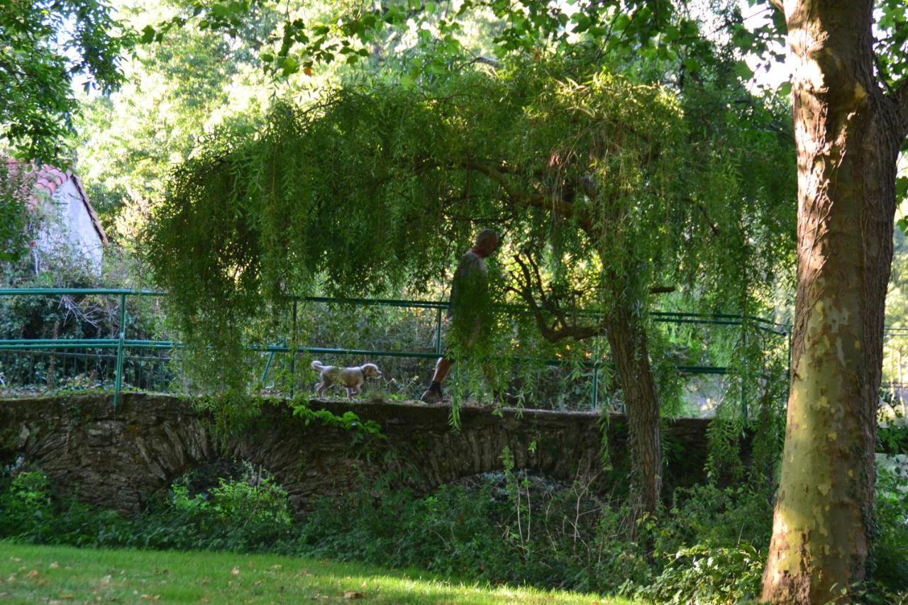 Le Moulin Neuf Villa Beaupréau-en-Mauges Buitenkant foto